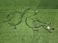 фото thumb №1, Джгут бампера задня polestar 2 32264514