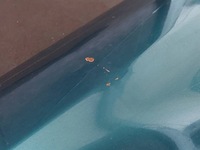 фото thumb №5, Крило лівий перед audi 80 b4 lz6p