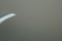 фото thumb №10, Двері лівий перед nissan juke f15 326g