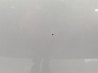 фото thumb №10, Ford s-max mk1 08r капот 66