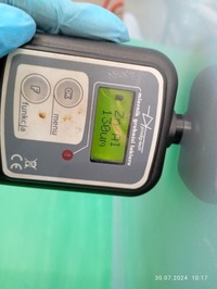 фото thumb №8, Дверь правое передние перед opel meriva b 10-