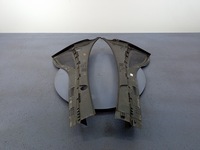 фото thumb №5, Skoda fabia iii 6v жабо верхній eu 6v1819415