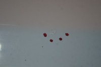 фото thumb №9, Кришка багажника багажника jaguar f-pace 3.0 d x761 polaris white камера білий