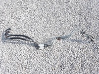 фото thumb №1, Дроти оливи коробки maserati ghibli 3.0 d