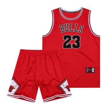 Спортивная форма с баскетбольными футболками Bulls №23, М
