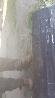 фото thumb №8, Volvo v90 cross country двері задня праве задні