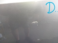 фото thumb №2, Двері задня праве peugeot rifter