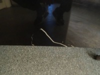 фото thumb №5, Skoda superb ii lift 3t капот кришка двигуна