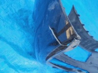 Opel оригинальный номер gm 39003567 в Украине, фото thumb