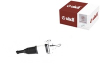 фото thumb №1, Vika 46160000801 амортизатор пневматичний