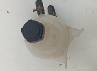 фото thumb №4, Бачок розширювальний renault scenic rx4