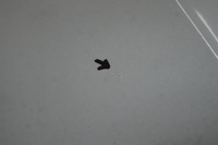 фото thumb №8, Mitsubishi outlander ii рестайлінг капот колір w13 комплектна