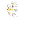 Решітка протитуманної фари права c-max/grand c-max 15- _ 1899663 _ f1cb-15a298 Доставка, фото thumb