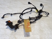 фото thumb №1, Джгут установка двері перед права vw passat b6 3c0 3c1971121g