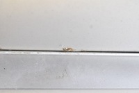 фото thumb №7, Крышка багажника зад задняя серебряная bmw e46 универсал 97-03