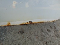 фото thumb №10, Дверь правое перед partner berlingo iii белый ewpa