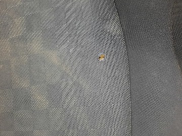 фото thumb №10, Mini cooper купе r58 сиденье левый перед