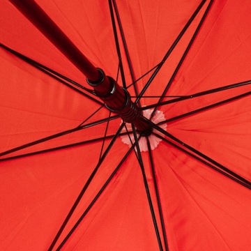 Зонт UMBRELLA FERNANDO рекламный ПРИНТ 5 шт.