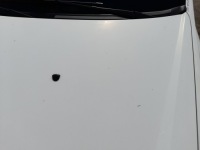 фото thumb №8, Fiat stilo капот крышка двигателя