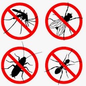 ASEKOR FLY PREPARAT NA MUCHY KOMARY DLA KONI 0,6L