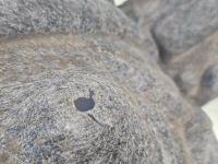 Подкрылок правое передние lexus nx 2 ii 14- правый перед 53875-78040 Доставка, фото thumb