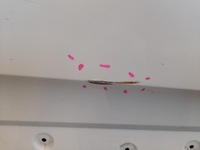 фото thumb №5, Дверь правое передние opel grandland x