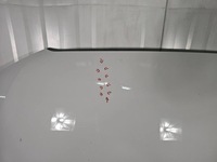 фото thumb №8, Капот кришка двигуна audi a6 c7 4g0