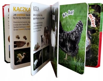 Сенсорная книга «Погладь деревенских животных»