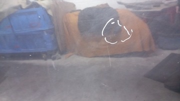 фото thumb №9, Капот opel astra g hb 99r z298