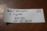 фото thumb №4, Idealny педаль тормоза porsche taycan 1