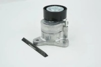 Натяжитель ремень клиновой многоручейковый 0490-cw5w Доставка, фото thumb