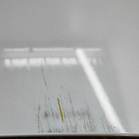 фото thumb №11, Audi a4 s4 b8 8k 2011 кришка передня / капот двигуна