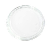 фото thumb №1, Стекло фары стекло противотуманной фары левый scania r