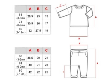 KOMPLET NIEMOWLĘCY BAWEŁNIANY DRES spodnie bluza ANIMALS 74