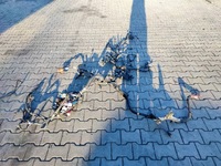 фото thumb №1, Джгут електропроводка шланг двигуна 240119157s renault master 3 iii lift 2.3