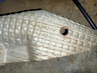 фото thumb №4, Защита коллектор выпускной mondeo mk3 st220