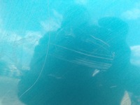 фото thumb №9, Крила правий передній toyota celica 5 v