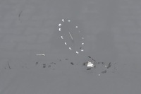 фото thumb №7, Peugeot expert iii двері лівий перед ліва передні