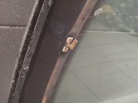 фото thumb №16, Стекло зад крышка vw sharan mk1 вестфалия