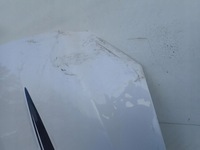 фото thumb №9, Ford mustang vi 6 14- капот кришка двигуна