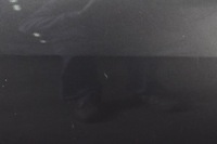 фото thumb №12, Mazda 3 ii bl дверь правые перед передние hb