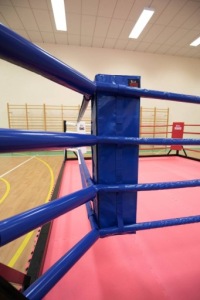 НАПРЯЖЕНИЯ ДЛЯ БОКСЕРСКИХ КАНАТОВ СИЛЬНОЕ КОЛЬЦО