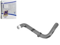 фото thumb №1, Шланг радіатора citroen peugeot evasion jumpy 80