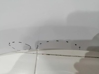 фото thumb №6, Крила лівий передній перед renault master iv