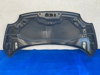 фото thumb №10, Капот крышка двигателя fiat 500 lift