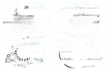 фото thumb №1, Насос води n210 dolz citroen ds ford opel