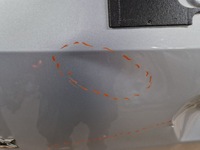 фото thumb №6, Ford grand c-max mk2 2010- крышка багажника багажника