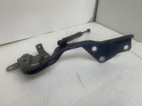 фото thumb №1, Renault scenic iv петля правый 654003758r