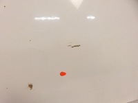 фото thumb №8, Кришка бардачка mercedes actros mp4