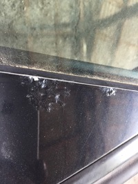 фото thumb №9, Audi a6 c6 lx7w двері ліва лівий задня задні